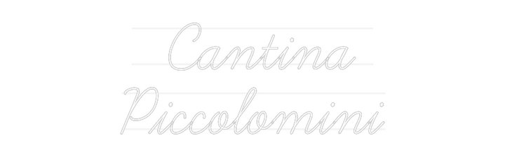 Custom Neon:   Cantina 
P...